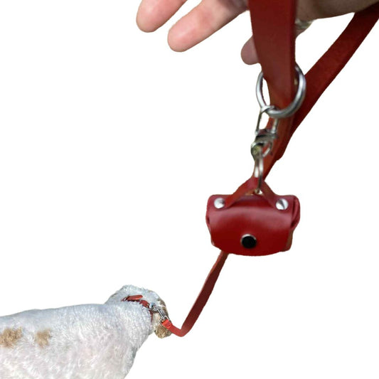 Leather Dog Collar & Lead Set - Buttero