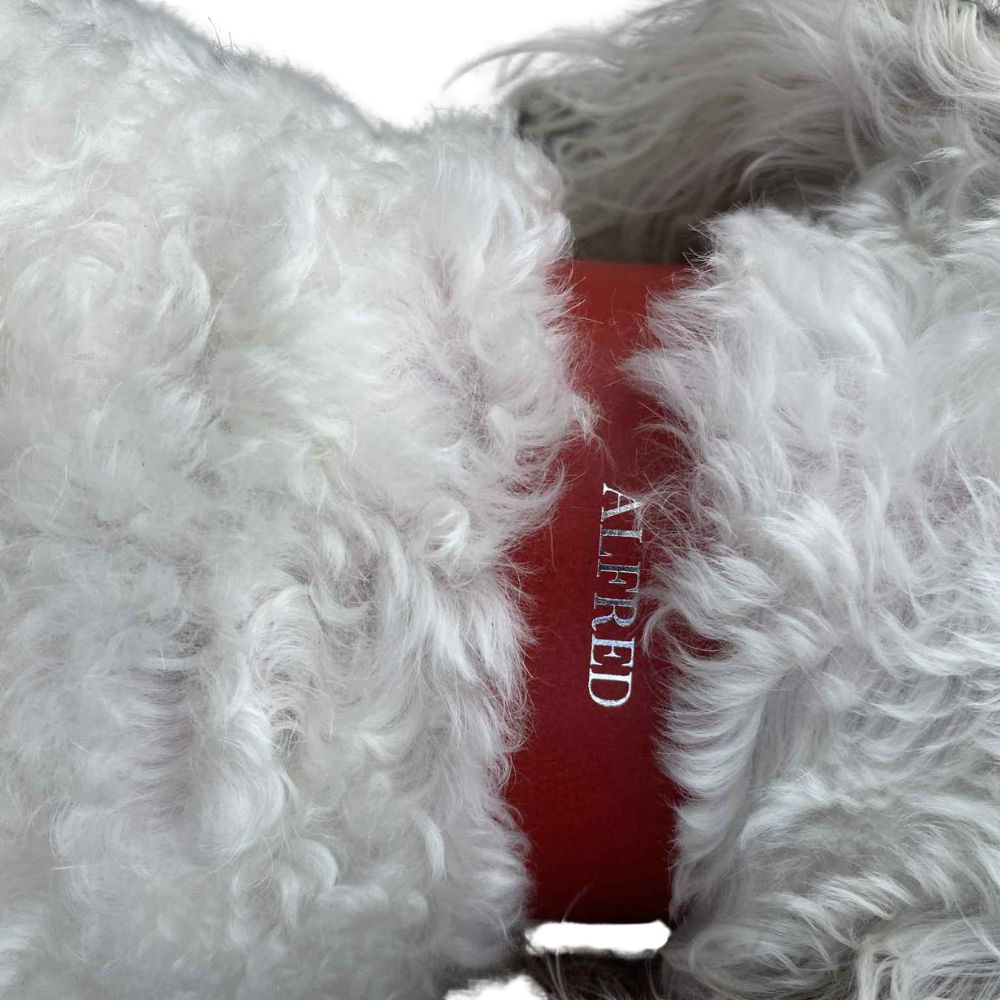 Leather Dog Collar & Lead Set - Buttero